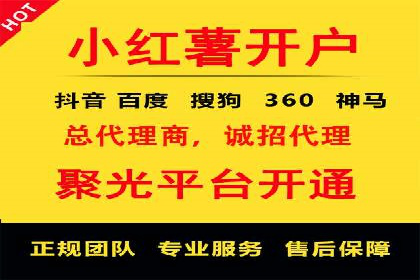 百度竞价广告的投放策略与成功案例分析